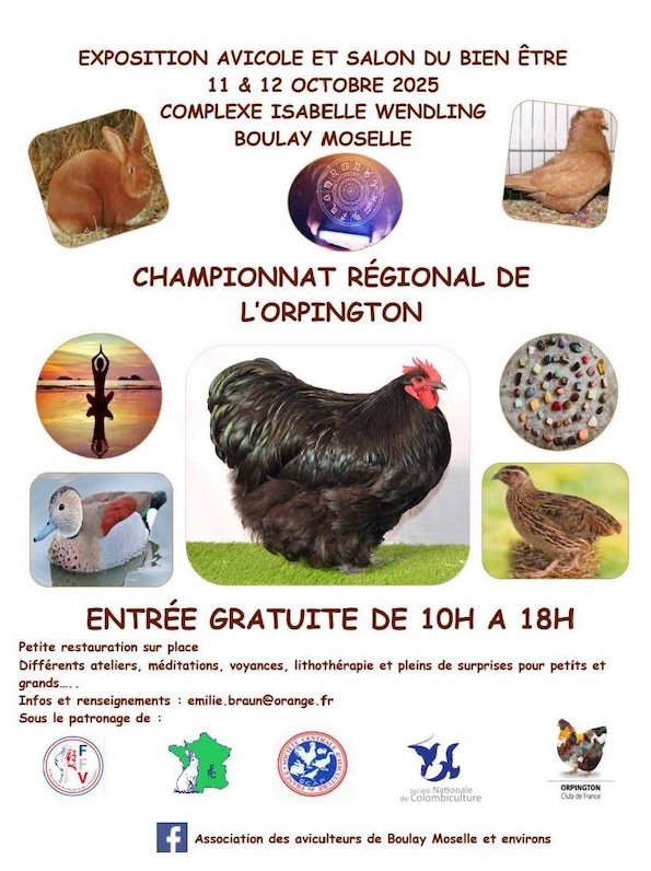 affiche exposition avicole de Boulay-Moselle 2025