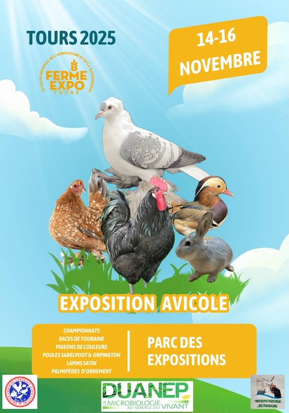 affiche exposition avicole tours 2025